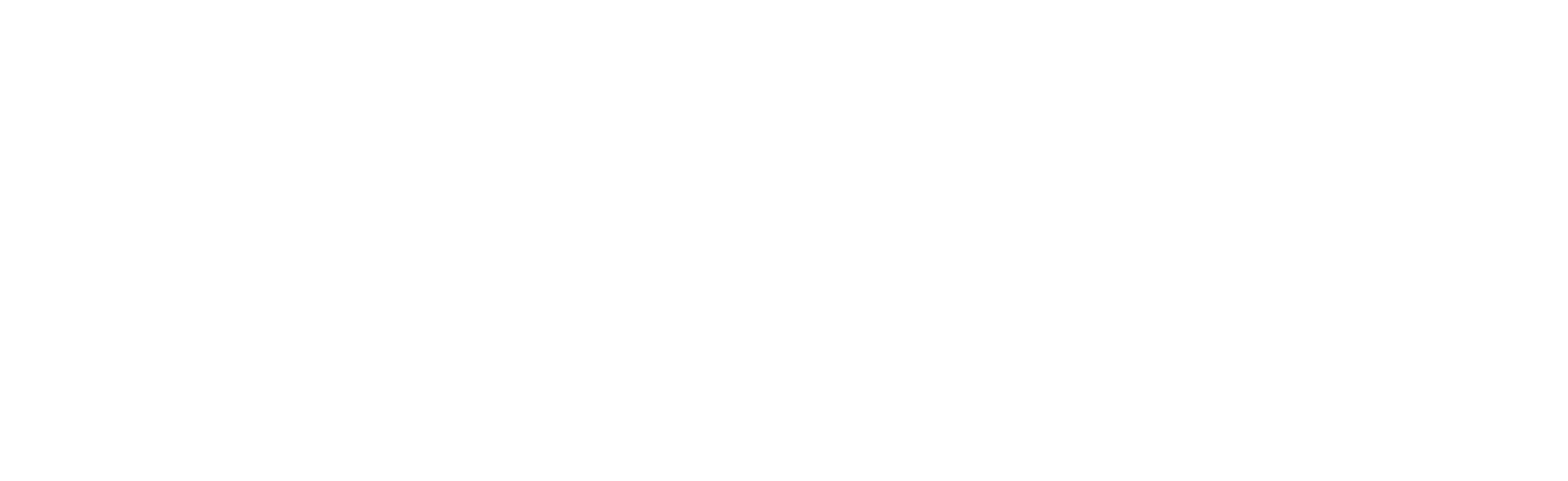 LoveServes WHT Logo